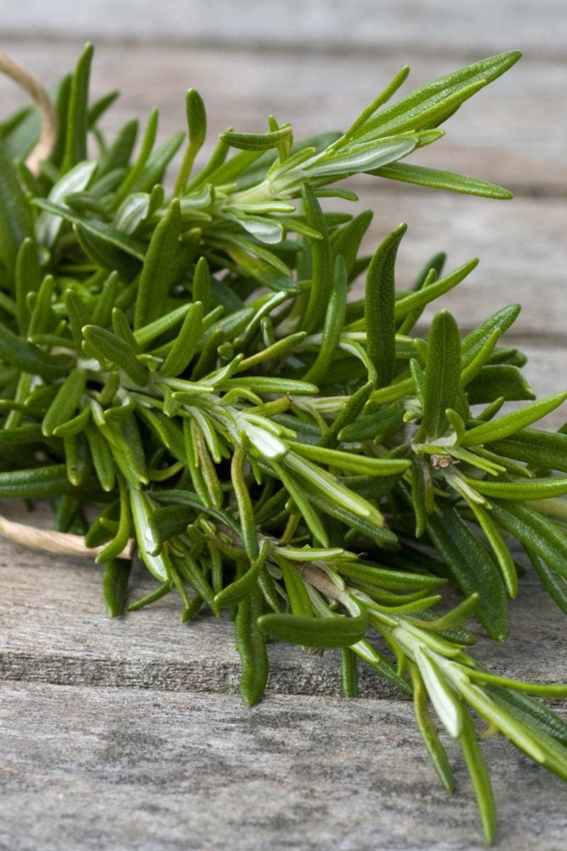 Benefits of Rosemary for Hair growth